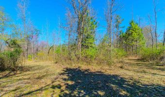 TBD S Shady Lane, Benton, AR 72015