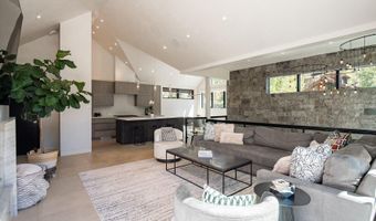 1154 E Cooper Ave B, Aspen, CO 81611