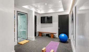 63 Smuggler Grv, Aspen, CO 81611