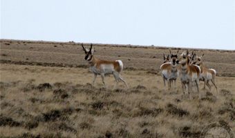 NHN Broken Trail N lot Bvr 944-19, Belfry, MT 59008