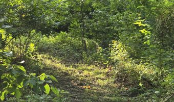 7011 County Road 429, Ava, MO 65608
