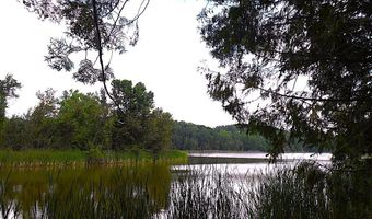 S Forest Lake, Alger, MI 48610