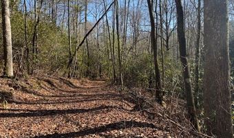 1834 Bristol Ave, Andrews, NC 28901