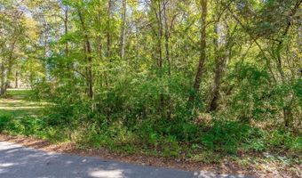 Barnes Rd, Andrews, SC 29510