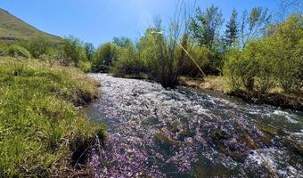 9885 Challis Creek Rd, Challis, ID 83226