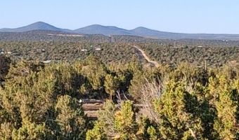 690 CR 8235 Dr, Concho, AZ 85924