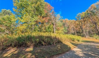 Nicholas Knoll 41, Bakersville, NC 28705