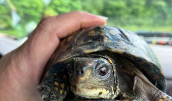 679 New Hope Church Rd, Barbourville, KY 40906