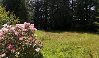 20452 Whaleshead Rd, Brookings, OR 97415