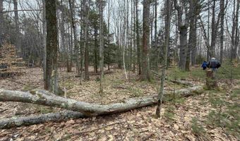 702 Province Rd, Belmont, NH 03220