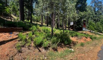 2904 Venado Dr, Arnold, CA 95223