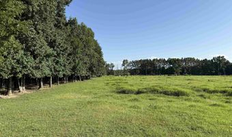 Arthur Kirk Rd, Beebe, AR 72012