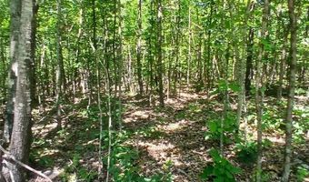 0000000 Easement, Annapolis, MO 63620