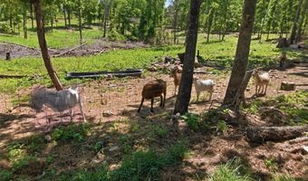210 County Road 320, Alton, MO 65606