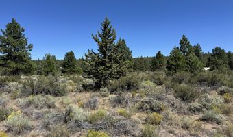 Bufflehead Drive 18, Bonanza, OR 97623