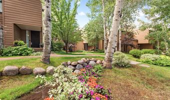 155 Lone Pine Rd 8, Aspen, CO 81611
