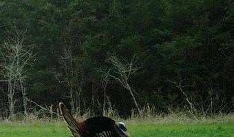 000 Hwy 105, Atkins, AR 72823