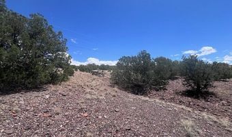 41 Indian Drive CR 8062, Concho, AZ 85924