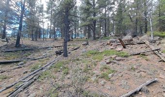 1077 Roland Dr Lot 3, Bailey, CO 80421