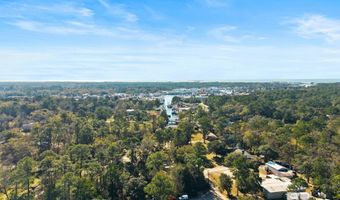 13545 Lyons Ave, Bayou La Batre, AL 36509