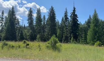 13643 Sundance Trl, Bigfork, MT 59911