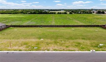 816 W Sunset Valley St, Alton, TX 78573