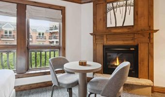 415 E Dean St Unit 38 Week 33, Aspen, CO 81611