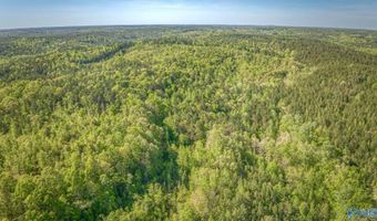 87 Acres Kay Hollis Rd, Beaverton, AL 35544
