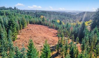 NW Lodge Rd, Banks, OR 97106