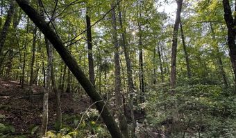 0 Military Rd, Beaverton, AL 35544