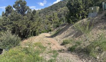 718 Silver Oak Dr, Glenwood Springs, CO 81601