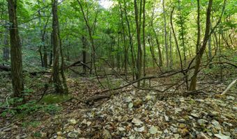 Private Drive Off Of Fr 1245, Aurora, MO 65605