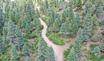 End of El Salto Road, Arroyo Seco, NM 87514