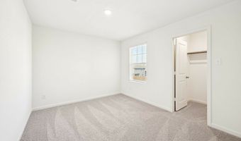 10644 Harlequinn Plan: Discovery, Adkins, TX 78101