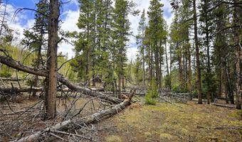 700 Looney Ln Lot 0, Alma, CO 80420