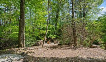 830 W Tweetsie Ln, Banner Elk, NC 28604