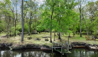 7960 SW 25th Pl, Bell, FL 32619