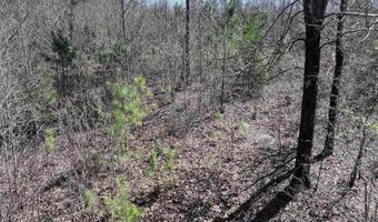 761 Richardson, Amity, AR 71921