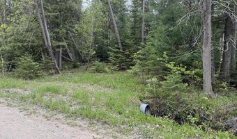 W M-68, Alanson, MI 49706