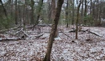 19 Th Pass Lot 19, Arkdale, WI 54613