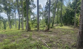 Tract 2 Mill Creek Rd, Andersonville, TN 37705