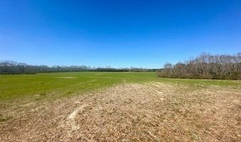 0 Tervin Mill Rd, Andalusia, AL 36421
