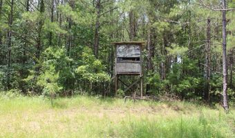 0000 Highway 550 NW, Brookhaven, MS 39601
