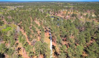 6355 Cobbham Rd Lot 17, Appling, GA 30802