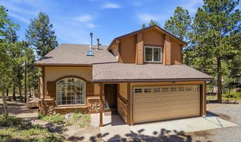 212 Elk Pl, Black Hawk, CO 80422