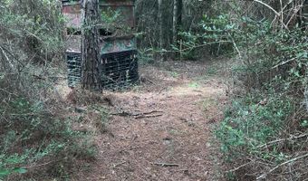 259 Forest Lake Rd, Beaumont, MS 39423
