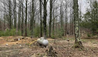 9718 NE FOREST LANE Dr, Alden, MI 49612