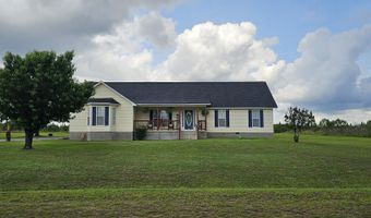157 Scarlett Ohara Dr, Ailey, GA 30410