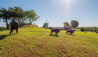 3526 Hardy Springs Rd, McAlester, OK 74501