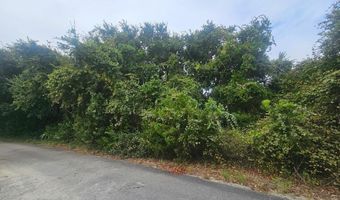 11 Royal Tern Ct Lot 120, Bald Head Island, NC 28461